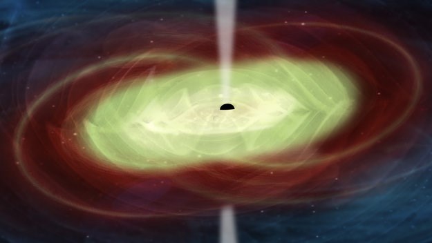 A Unique Experiment to Explore Black Holes