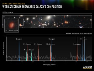 Webb spectrum showcases galaxy's composition