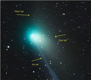 Annotation of Comet ZTF's three apparent tails