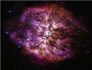 Wolf-Rayet 124 (MIRI image)