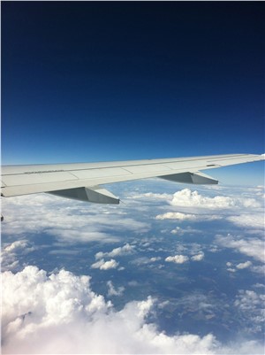 Blue skies above an aircraft wing