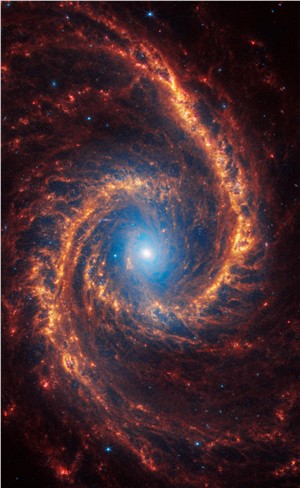NGC 1566
