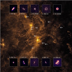 Planet-forming discs in the Orion cloud