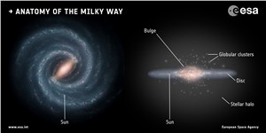 Anatomy of the Milky Way