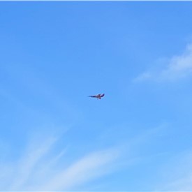 Exosonic Successfully Flies EX-3M Trident