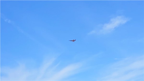 Exosonic Successfully Flies EX-3M Trident
