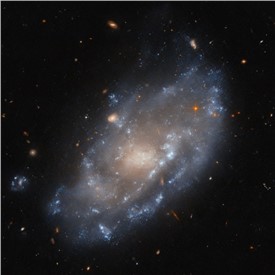 Image - Hubble Hunts Visible Light Sources of X-Rays