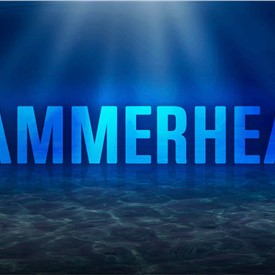 Image - GDMS Awarded Modification to Deliver Hammerhead Encapsulated Effectors to US Navy