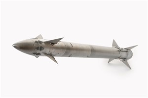 The type of missile that has been supplied