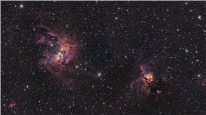 VISTA's view on stellar births