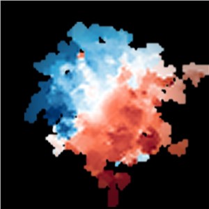 Motion of the cold gas in REBELS-25 seen by ALMA