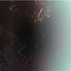 Image - Firefly Aerospace Becomes 1st Commercial Company to Successfully Land on the Moon