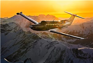  Garmin International Inc. &copy;