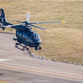 Image - Airbus delivers 1st 2 H145s to Cyprus