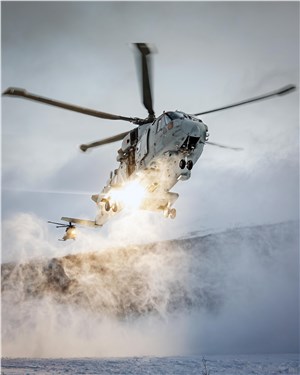  Ministry of Defence (United Kingdom) &copy;