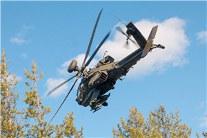  Finnish Defence Forces  &copy;