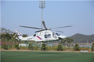  Milestone Aviation &copy;