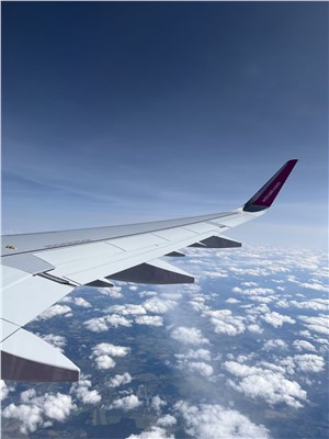  Aviation Capital Group (ACG) &copy;
