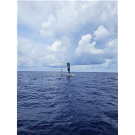 Australia's USV Program Supporting Maritime Border Security