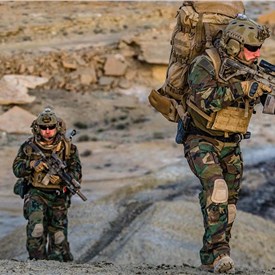 Raytheon ELCAN Selected to Deliver Customised Specter DR Sights for German Armed Forces