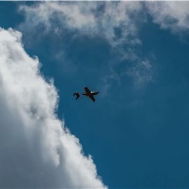 Image - Radiation Surveillance Payload Integrated into Raybird UAS