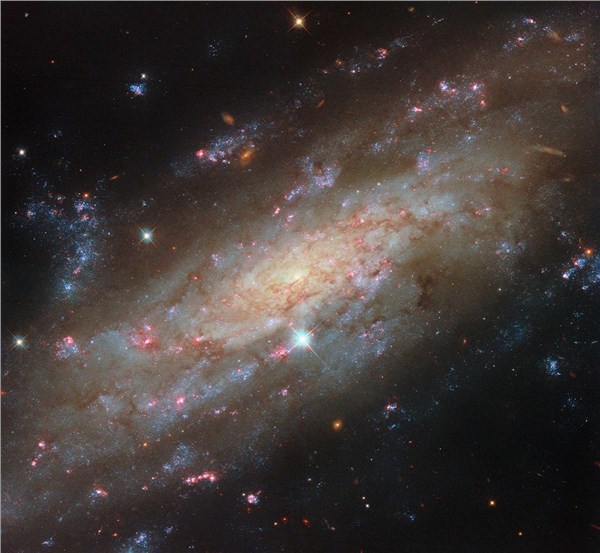 Hubble Spots a Starry Spiral