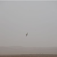 New Interceptor Missiles Successfully Tested in the Middle East As Defence Minister Visits Region