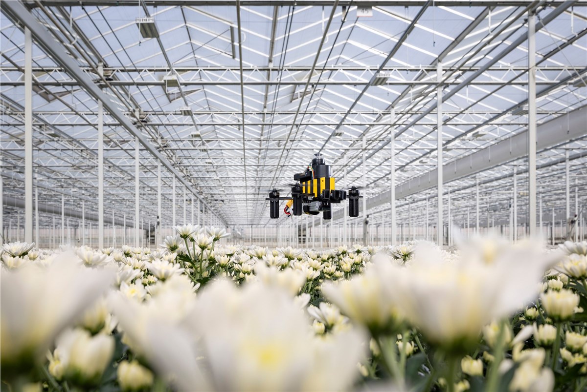 Honeybees Teach Drones How to Navigate Bee-Nav drone in a flower greenhouse TU Delft &copy;
